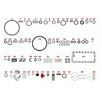Ремкомплект ТНВД Delphi (Lucas) DPS (Ford Transit)