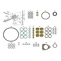 Ремкомплект ТНВД Bosch PE...6P...S7100 (2417010010)
